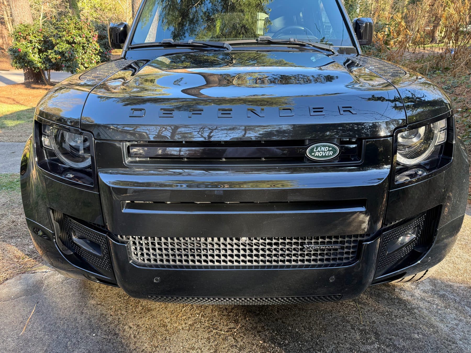Blacked-out Defender grille after an exterior detail